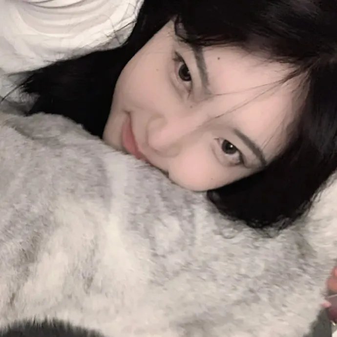 律师菲斯克 第一季
